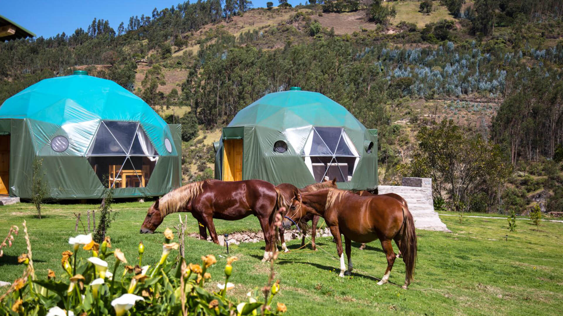 Perú Eco Camp